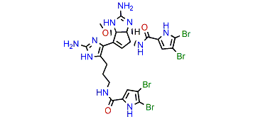 Nagelamide J